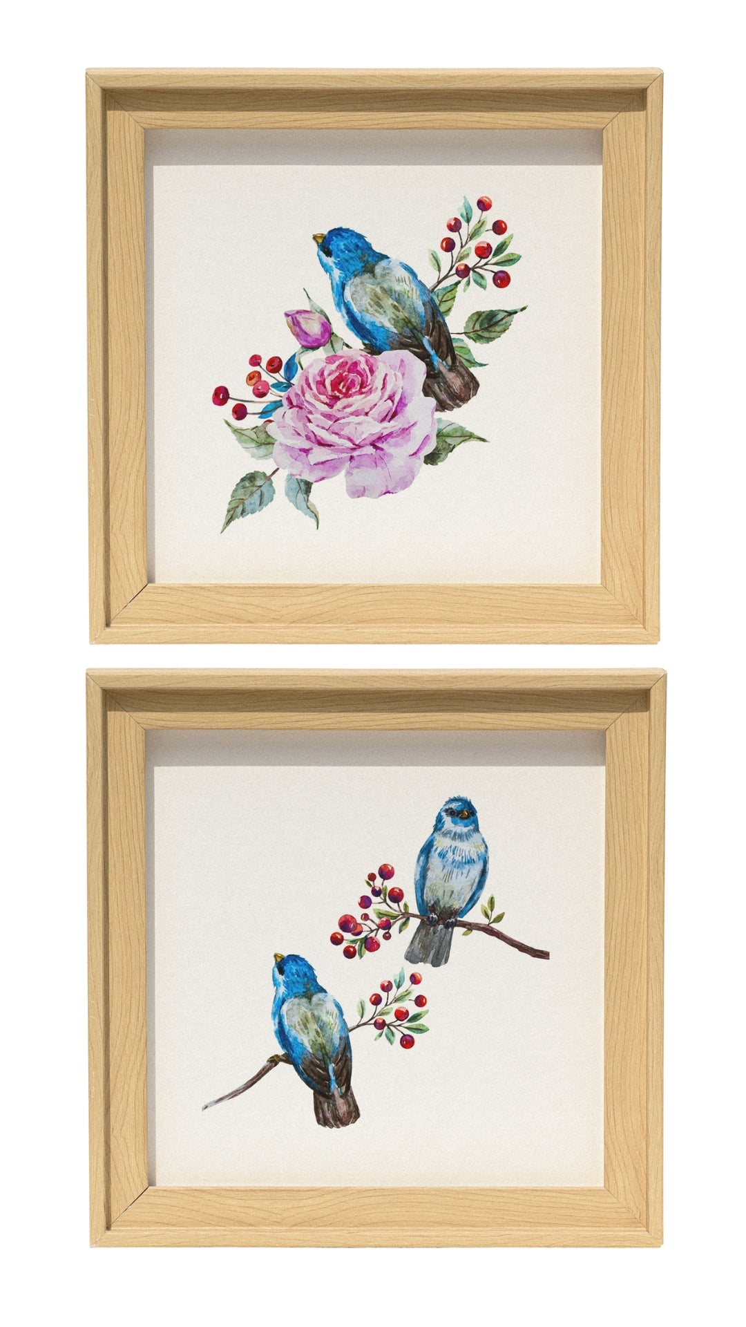 Decorative Frames | Set of two