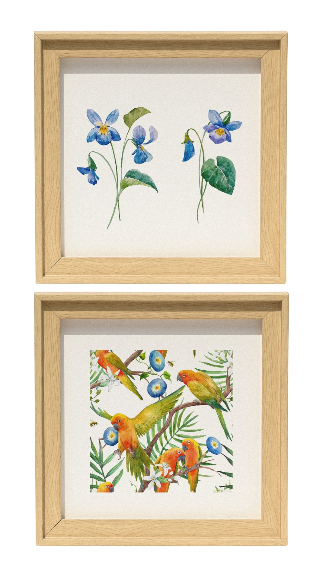 Decorative Frames | Set of two