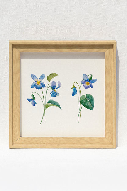 Decorative Frames | Set of two